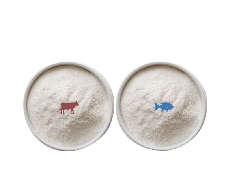 Marine Collagen vs Bovine Collagen